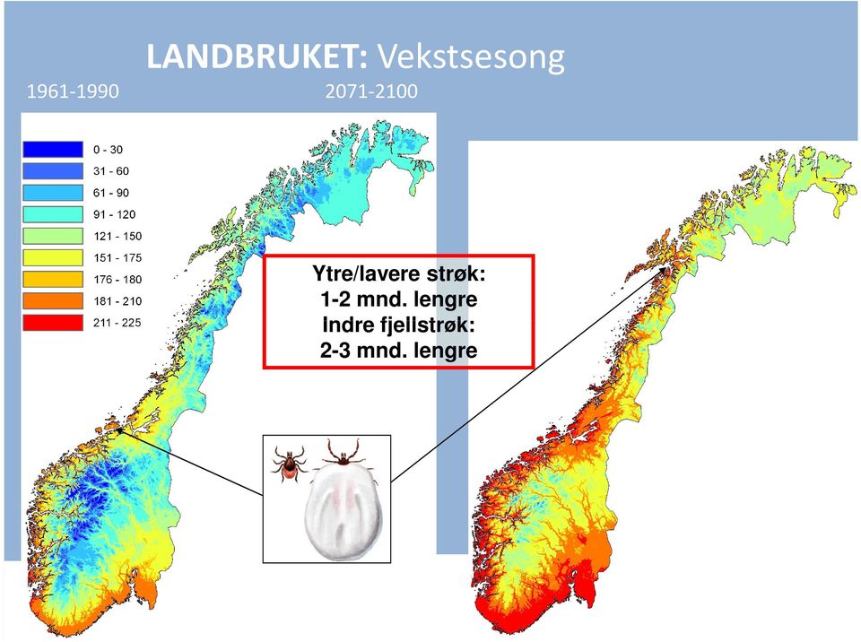 Ytre/lavere strøk: 1-2 mnd.