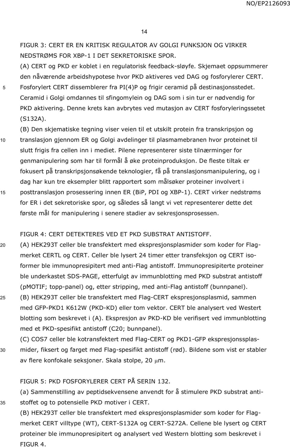 Ceramid i Golgi omdannes til sfingomylein og DAG som i sin tur er nødvendig for PKD aktivering. Denne krets kan avbrytes ved mutasjon av CERT fosforyleringssetet (S132A).