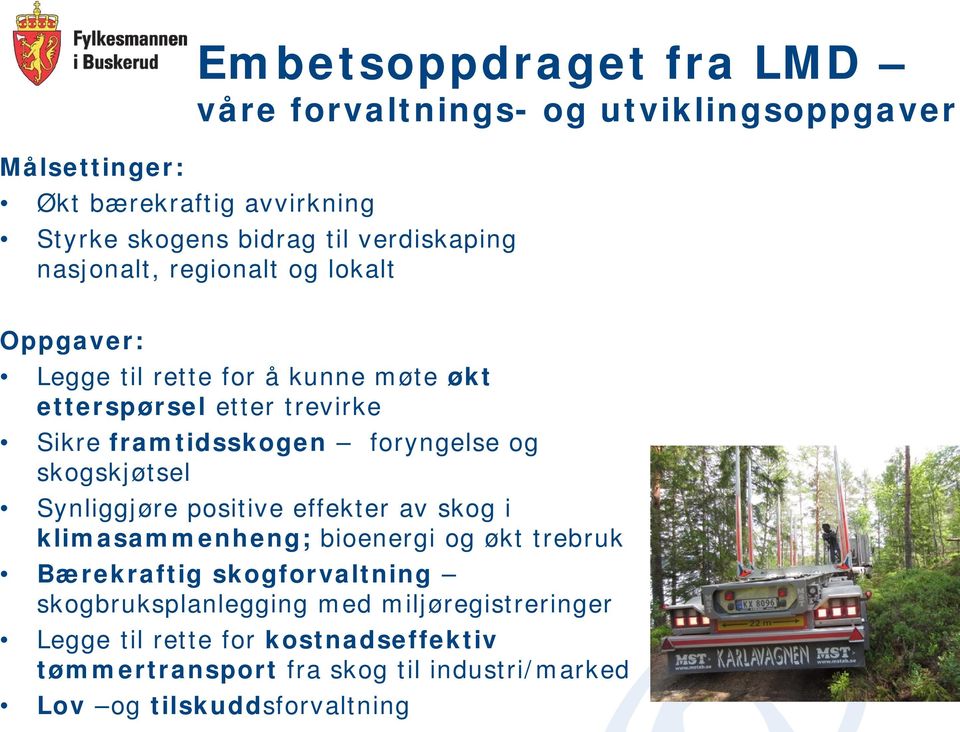 foryngelse og skogskjøtsel Synliggjøre positive effekter av skog i klimasammenheng; bioenergi og økt trebruk Bærekraftig skogforvaltning