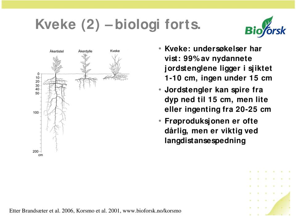 ingen under 15 cm Jordstengler kan spire fra dyp ned til 15 cm, men lite eller ingenting