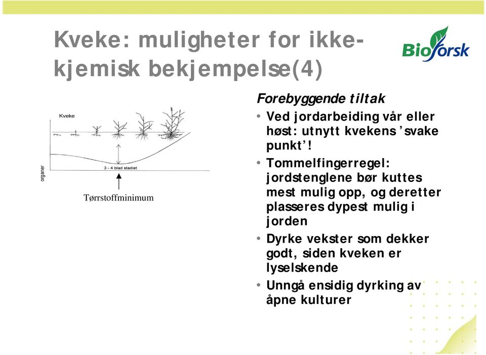 Tommelfingerregel: jordstenglene bør kuttes mest mulig opp, og deretter plasseres