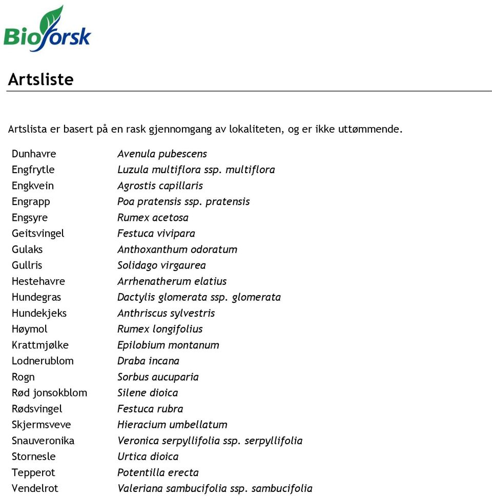 Stornesle Tepperot Vendelrot Avenula pubescens Luzula multiflora ssp. multiflora Agrostis capillaris Poa pratensis ssp.