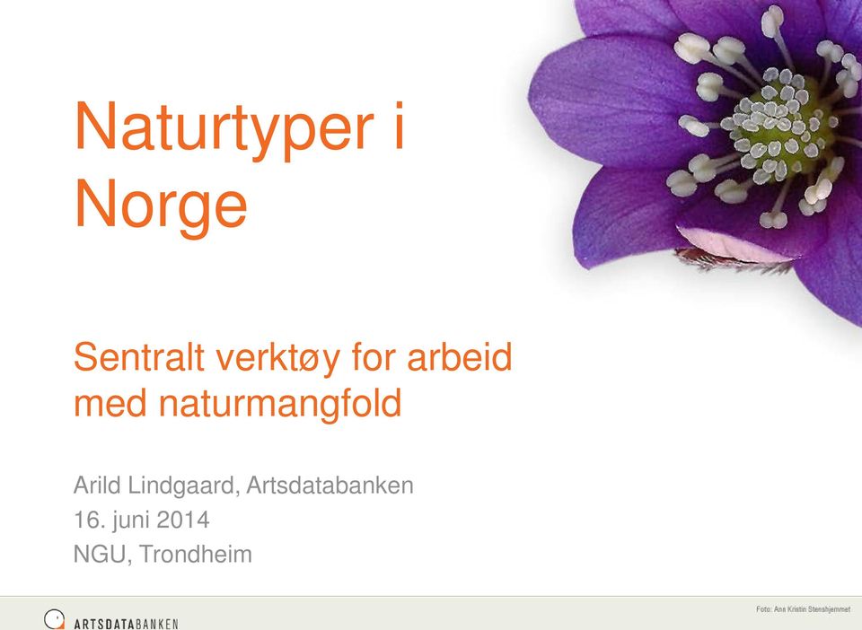 naturmangfold Arild Lindgaard,