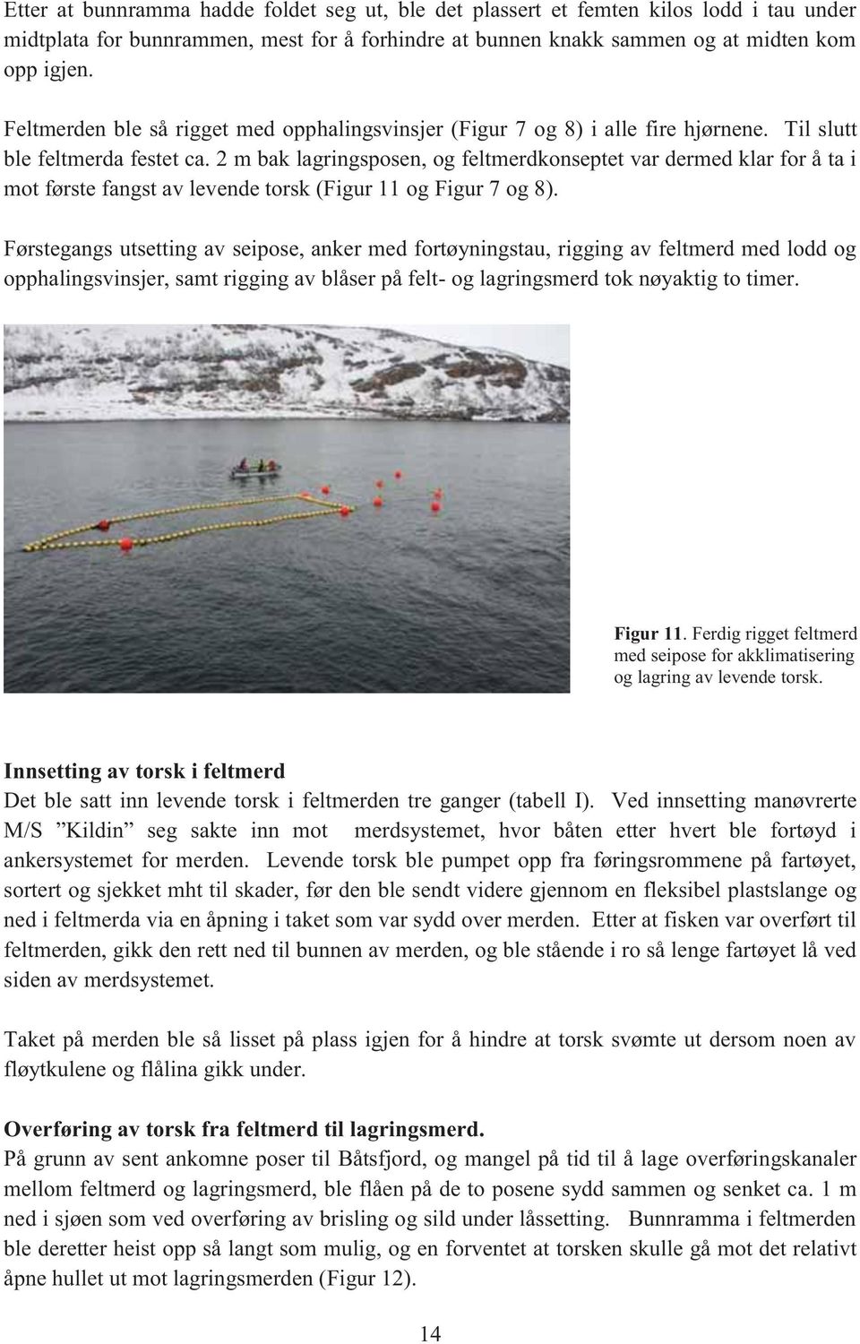 2 m bak lagringsposen, og feltmerdkonseptet var dermed klar for å ta i mot første fangst av levende torsk (Figur 11 og Figur 7 og 8).