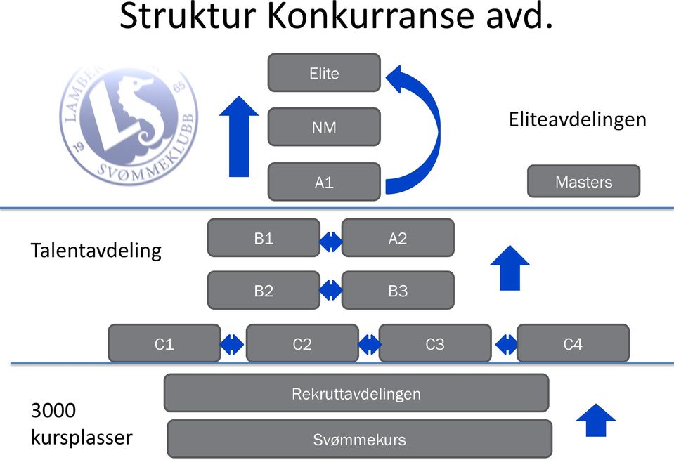 Talentavdeling B1 B2 A2 B3 C1 C2 C3