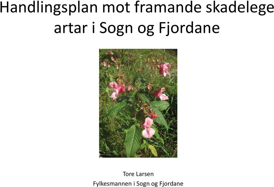 Fjordane Tore Larsen