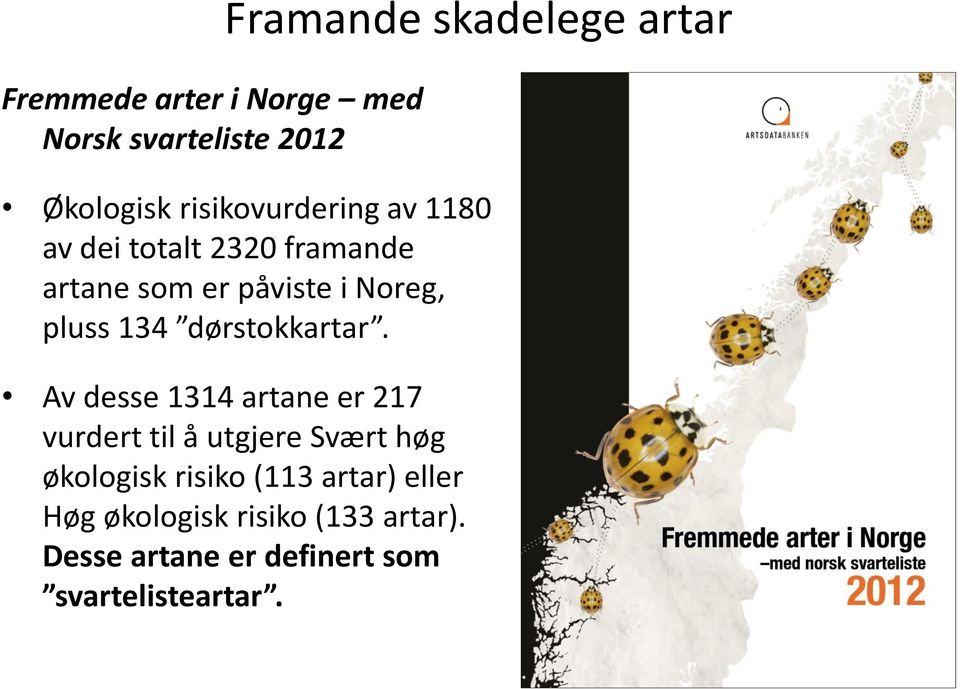 134 dørstokkartar.