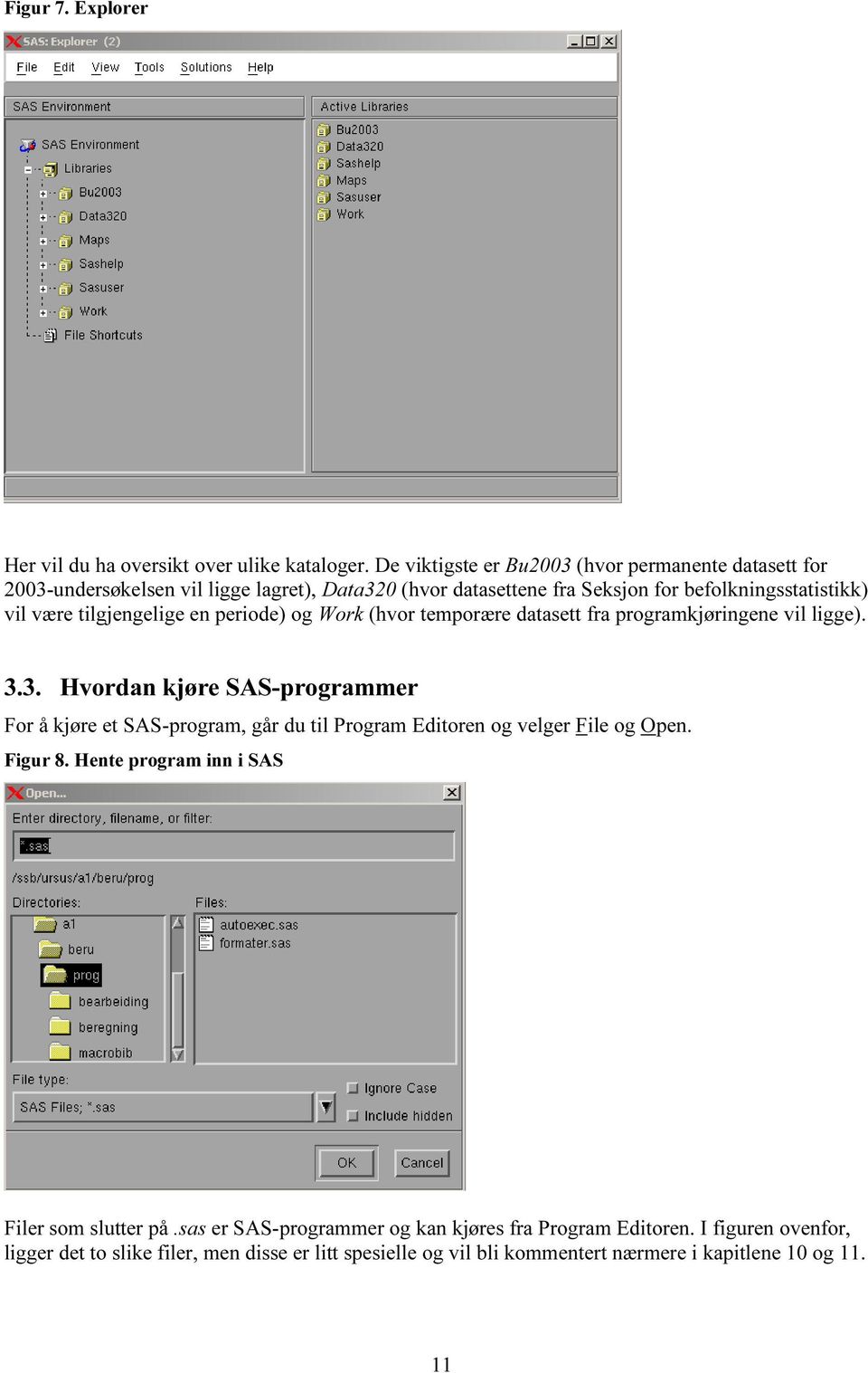 tilgjengelige en periode) og Work (hvor temporære datasett fra programkjøringene vil ligge). 3.