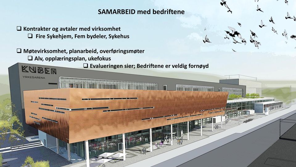 Møtevirksomhet, planarbeid, overføringsmøter Alv,