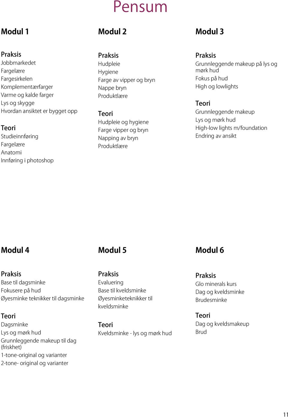 High og lowlights Grunnleggende makeup Lys og mørk hud High-low lights m/foundation Endring av ansikt Modul 4 Modul 5 Modul 6 Base til dagsminke Fokusere på hud Øyesminke teknikker til dagsminke
