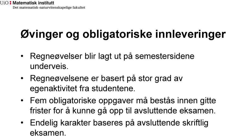 Regneøvelsene er basert på stor grad av egenaktivitet fra studentene.