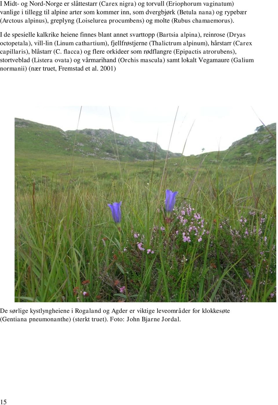 I de spesielle kalkrike heiene finnes blant annet svarttopp (Bartsia alpina), reinrose (Dryas octopetala), vill-lin (Linum cathartium), fjellfrøstjerne (Thalictrum alpinum), hårstarr (Carex