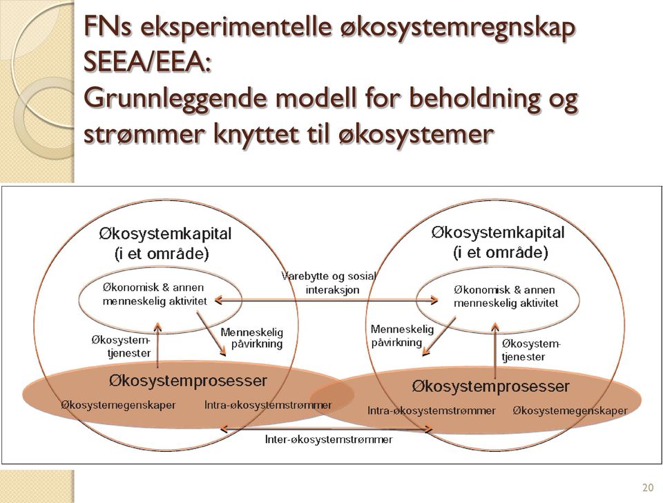 Grunnleggende modell for