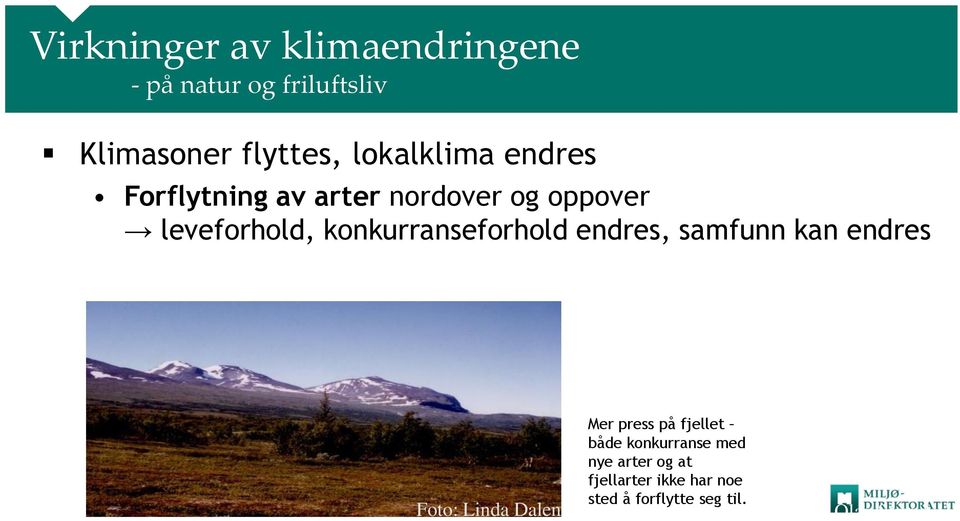 konkurranseforhold endres, samfunn kan endres Foto: Linda Dalen Mer press på fjellet