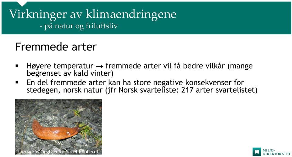 del fremmede arter kan ha store negative konsekvenser for stedegen, norsk natur