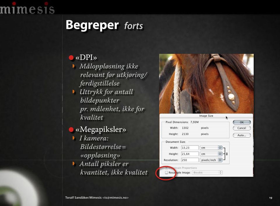 målenhet, ikke for kvalitet «Megapiksler» I kamera: Bildestørrelse=