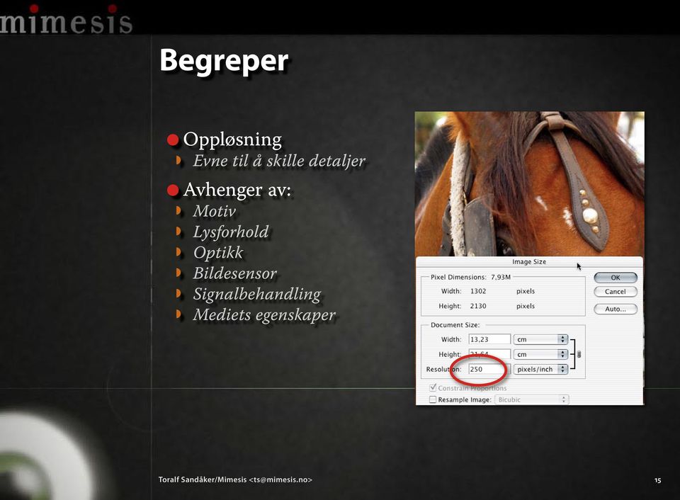 Optikk Bildesensor Signalbehandling Mediets