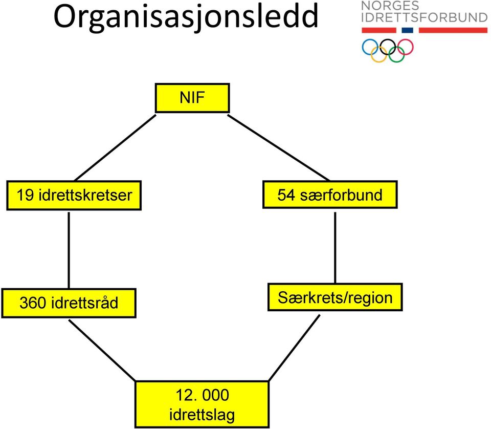 særforbund 360 idrettsråd