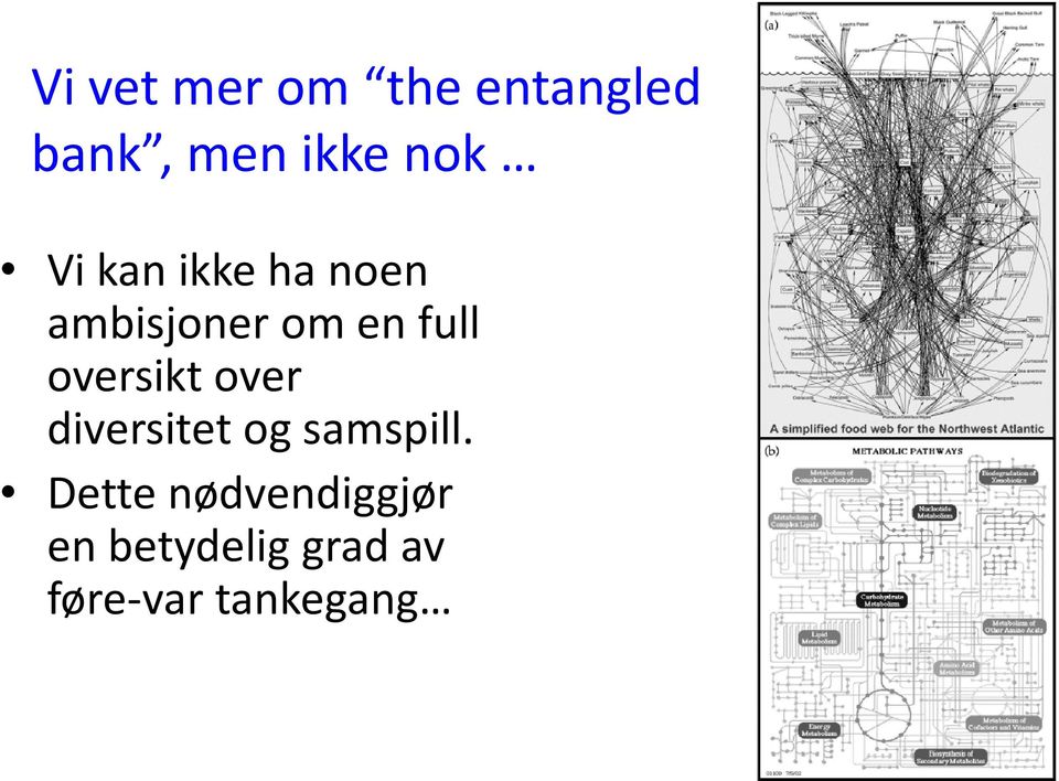 oversikt over diversitet og samspill.