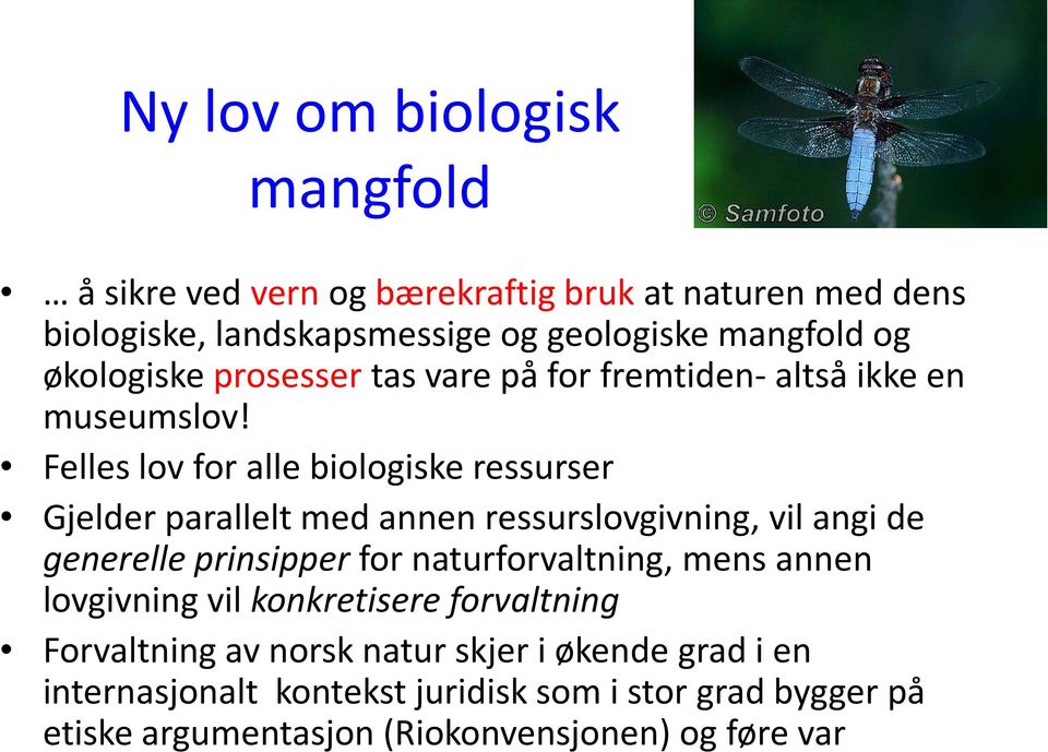 Felles lov for alle biologiske ressurser Gjelder parallelt med annen ressurslovgivning, vil angi de generelle prinsipper for naturforvaltning,