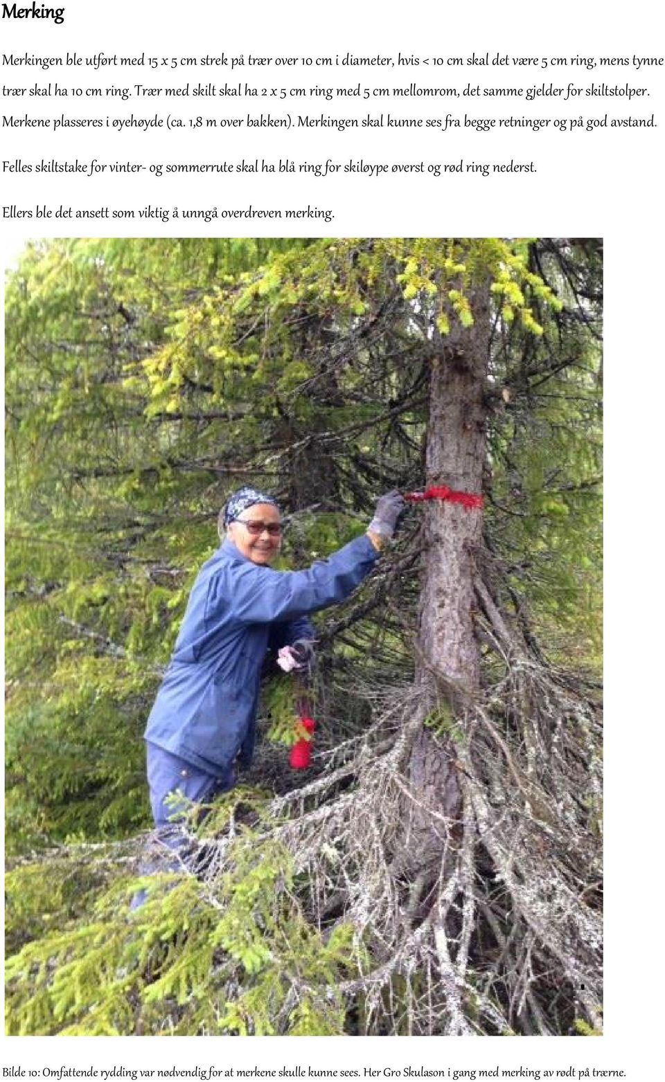 Merkingen skal kunne ses fra begge retninger og på god avstand. Felles skiltstake for vinter- og sommerrute skal ha blå ring for skiløype øverst og rød ring nederst.