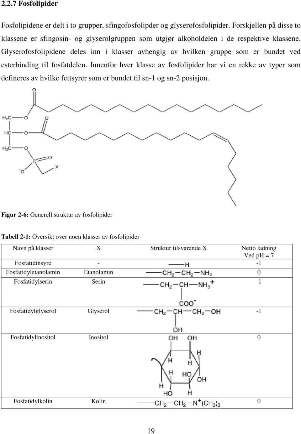 Glyserofosfolipidene deles inn i klasser avhengig av hvilken gruppe som er bundet ved esterbinding til fosfatdelen.