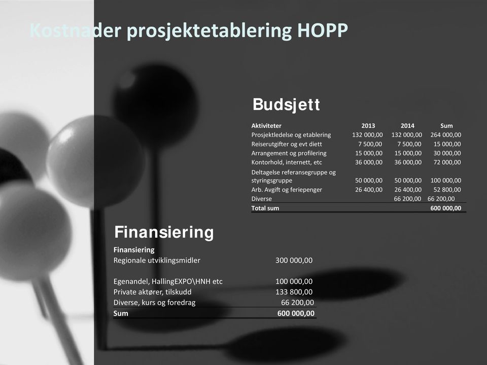 Reiserutgifter og evt diett 7 500,00 7 500,00 15 000,00 Arrangement og profilering 15 000,00 15 000,00 30 000,00 Kontorhold, internett, etc 36 000,00 36 000,00 72 000,00