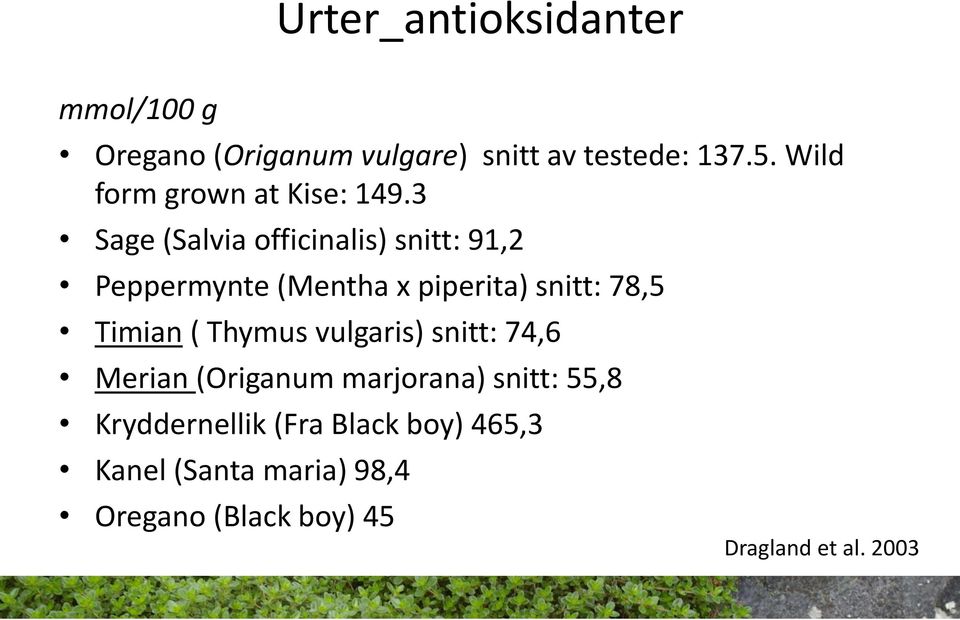 3 Sage (Salvia officinalis) snitt: 91,2 Peppermynte (Mentha x piperita) snitt: 78,5 Timian (