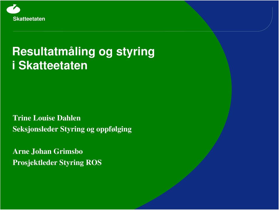 Seksjonsleder Styring og oppfølging