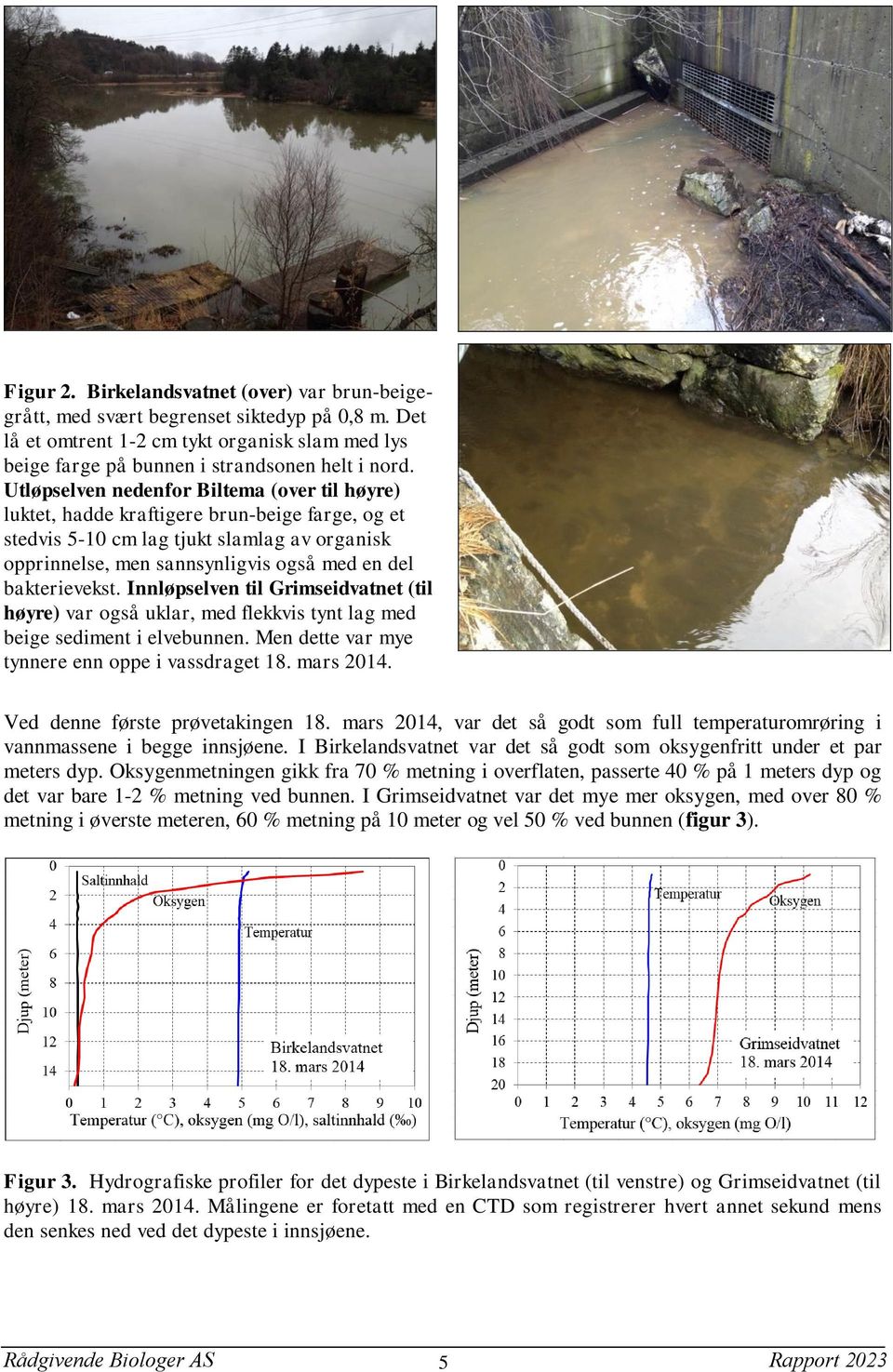 bakterievekst. Innløpselven til Grimseidvatnet (til høyre) var også uklar, med flekkvis tynt lag med beige sediment i elvebunnen. Men dette var mye tynnere enn oppe i vassdraget 18. mars 2014.