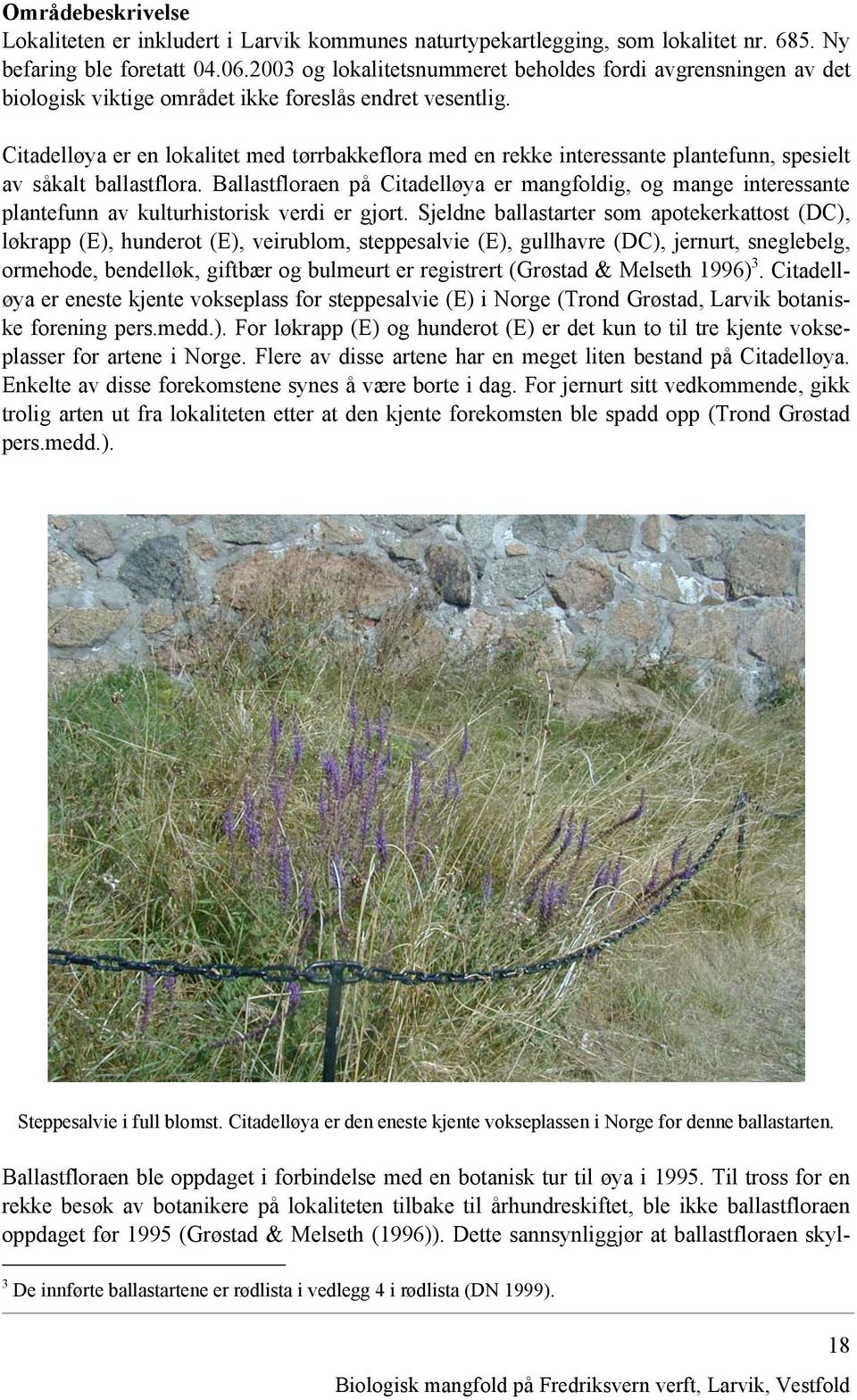 Citadelløya er en lokalitet med tørrbakkeflora med en rekke interessante plantefunn, spesielt av såkalt ballastflora.