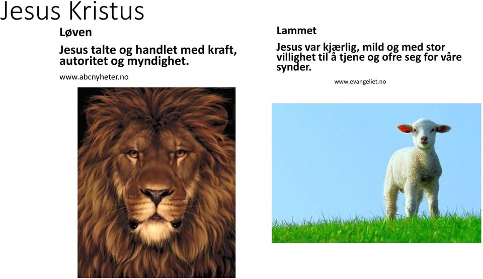 no Lammet Jesus var kjærlig, mild og med stor