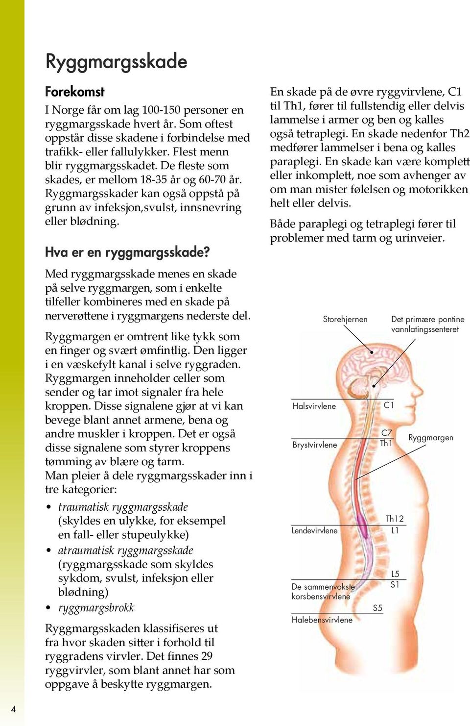 Med ryggmargsskade menes en skade på selve ryggmargen, som i enkelte tilfeller kombineres med en skade på nerverøttene i ryggmargens nederste del.