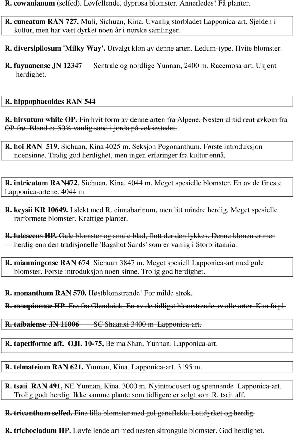 Racemosa-art. Ukjent herdighet. R. hippophaeoides RAN 544 R. hirsutum white OP. Fin hvit form av denne arten fra Alpene. Nesten alltid rent avkom fra OP-frø.