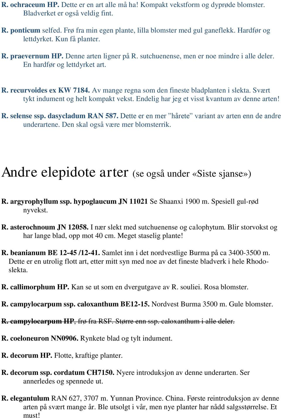 Av mange regna som den fineste bladplanten i slekta. Svært tykt indument og helt kompakt vekst. Endelig har jeg et visst kvantum av denne arten! R. selense ssp. dasycladum RAN 587.