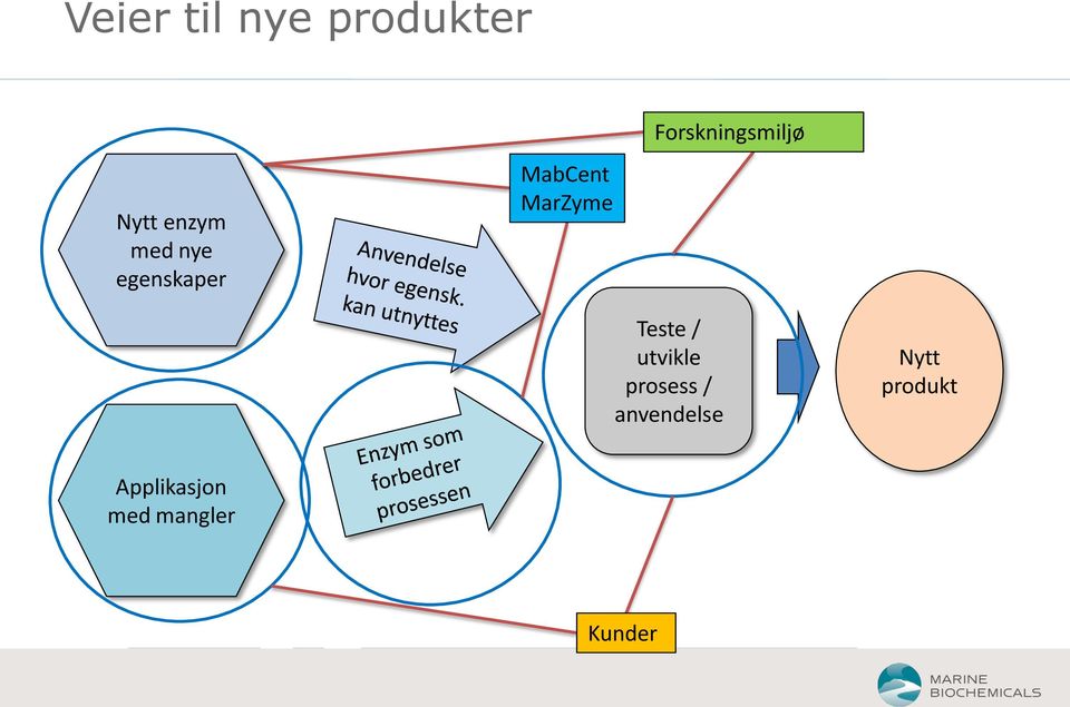 Forskningsmiljø Teste / utvikle prosess /