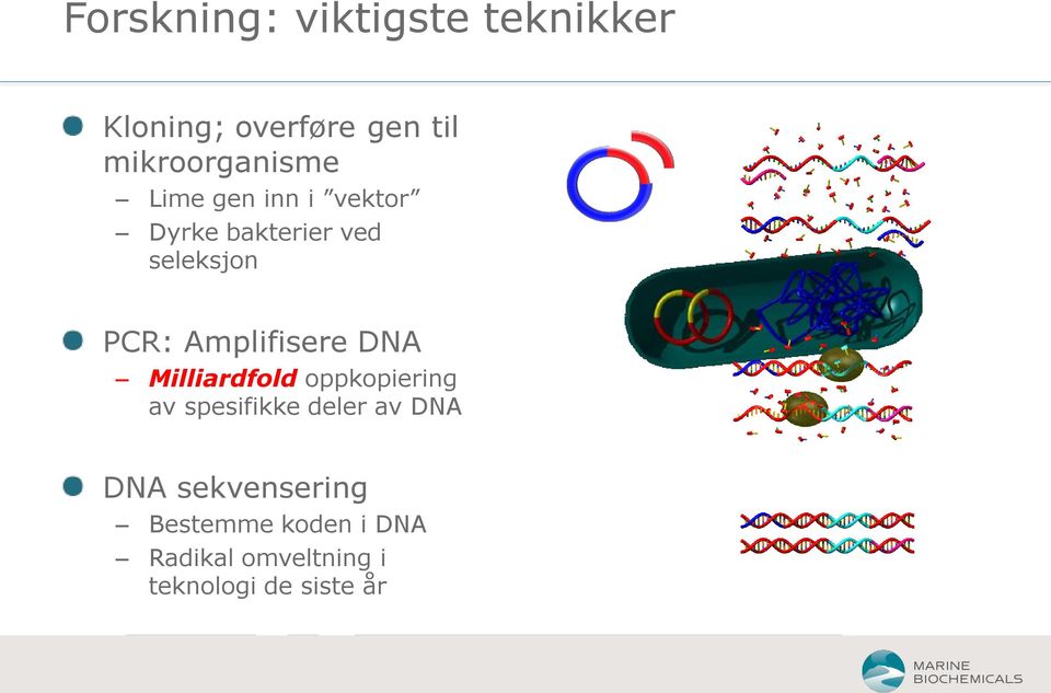 PCR: Amplifisere DNA Milliardfold oppkopiering av spesifikke deler av