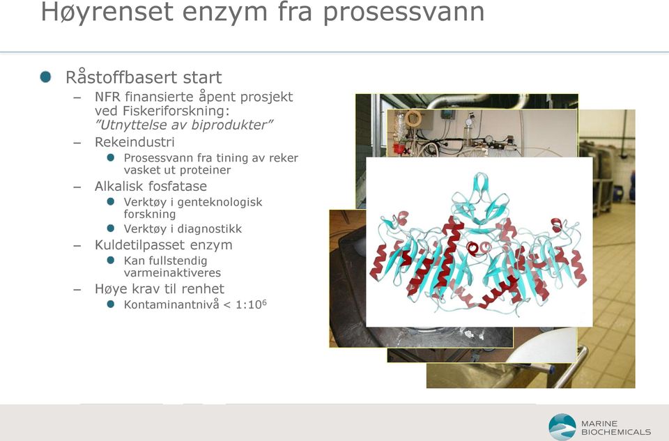 vasket ut proteiner Alkalisk fosfatase Verktøy i genteknologisk forskning Verktøy i