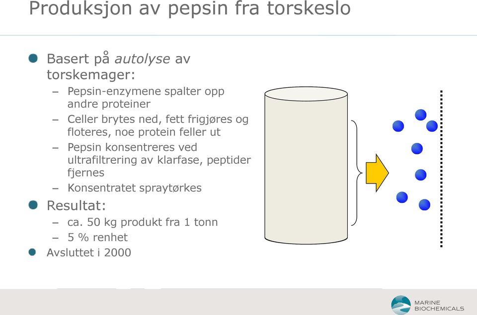 protein feller ut Pepsin konsentreres ved ultrafiltrering av klarfase, peptider