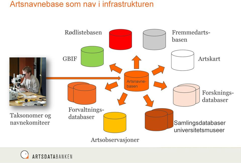 Taksonomer og navnekomiteer Forskningsdatabaser