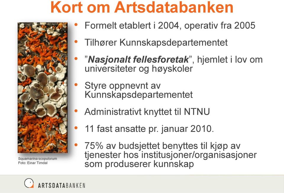 Kunnskapsdepartementet Administrativt knyttet til NTNU 11 fast ansatte pr. januar 2010.