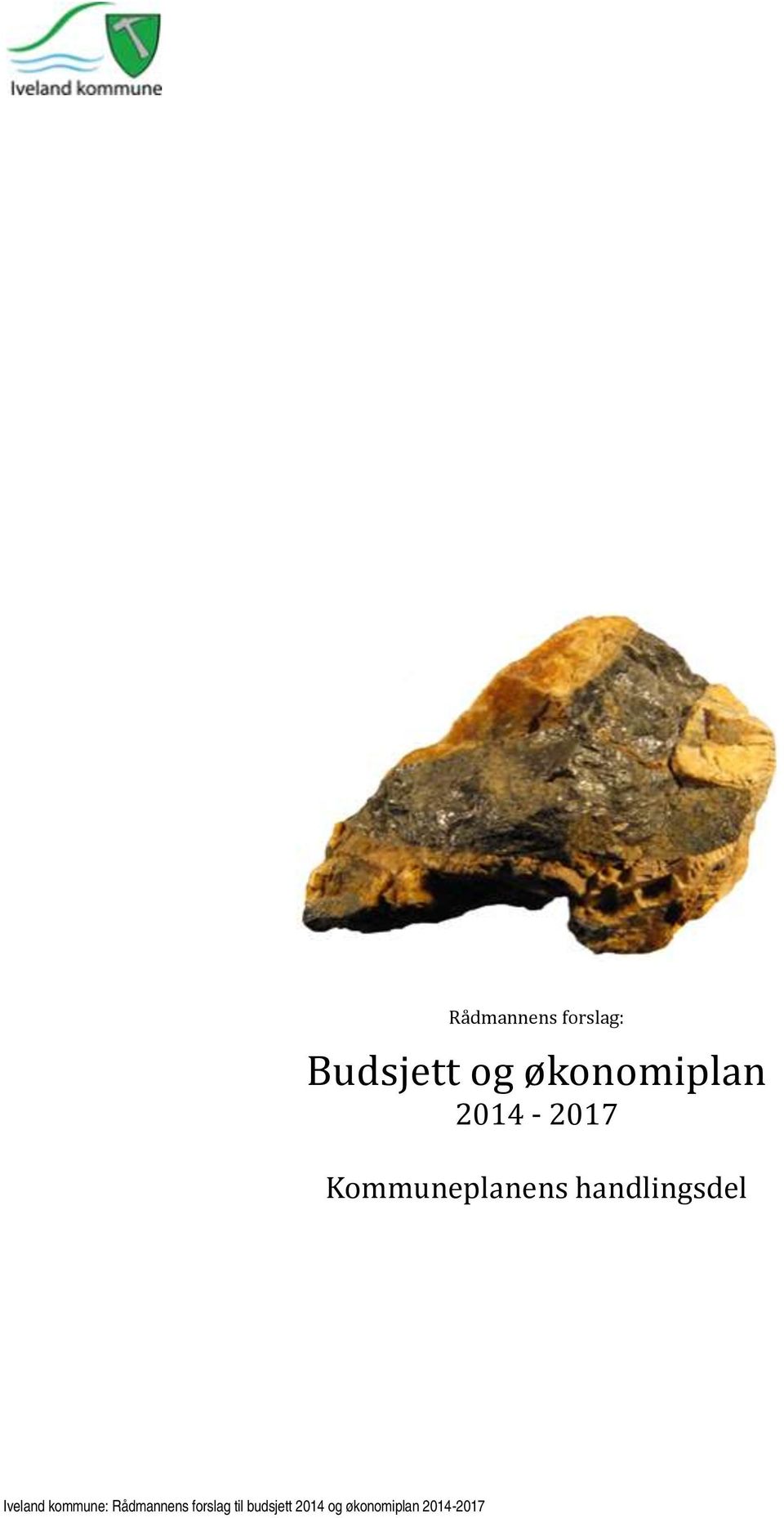 håndlingsdel Iveland kommune: Rådmannens