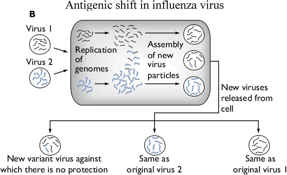 influenza