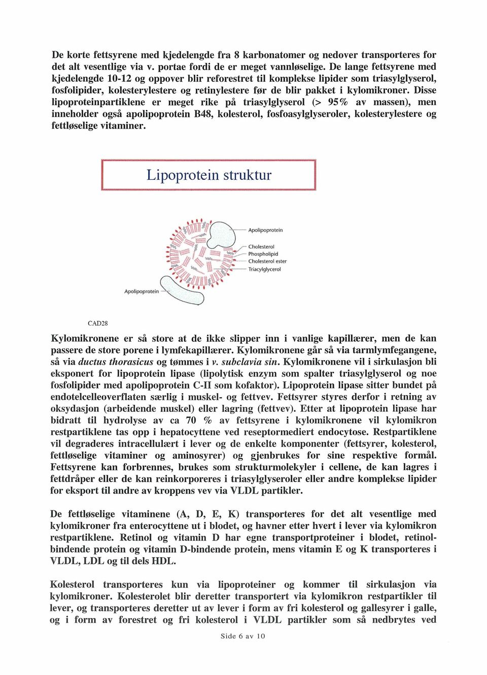 Disse lipoproteinpartiklene er meget rike på triasylglyserol (> 95% av massen), men inneholder også apolipoprotein B48, kolesterol, fosfoasylglyseroler, kolesterylestere og fettiøselige vitaminer.