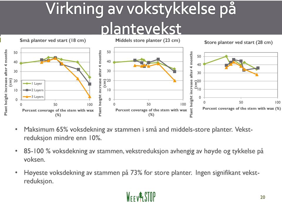 after 4 months (cm) 50 40 30 20 10 0 0 50 100 Percent coverage of the stem with wax (%) Maksimum 65% voksdekning av stammen i små and middels-store planter.