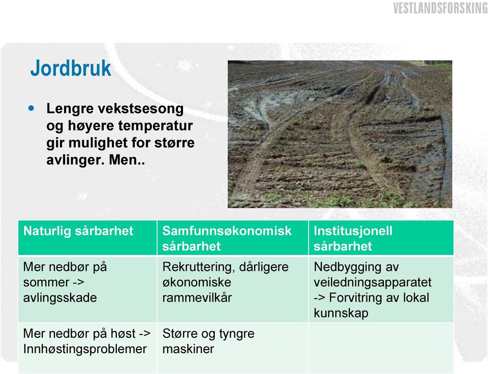 Innhøstingsproblemer Samfunnsøkonomisk sårbarhet Rekruttering, dårligere økonomiske