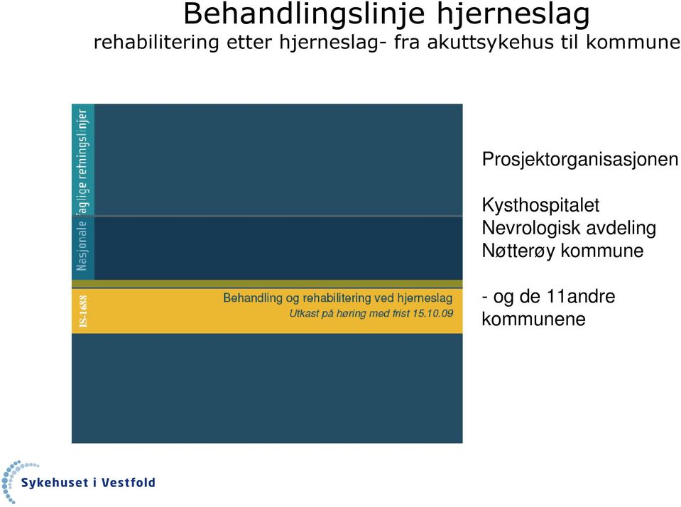 Prosjektorganisasjonen Kysthospitalet