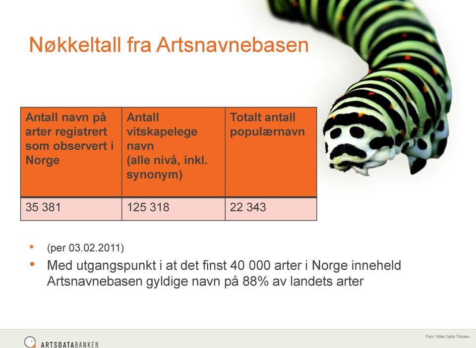 synonym) Totalt antall populærnavn 35 381 125 318 22 343 (per 03.02.