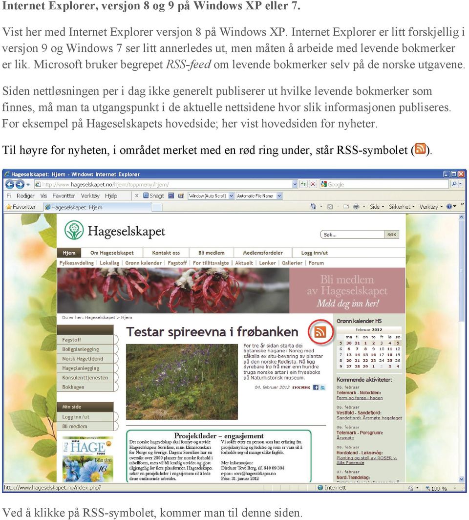 Microsoft bruker begrepet RSS-feed om levende bokmerker selv på de norske utgavene.