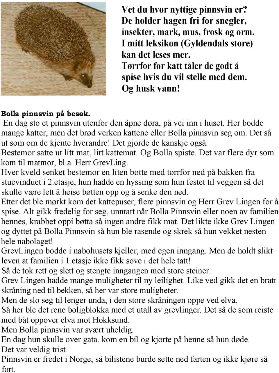 Her bodde mange katter, men det brød verken kattene eller Bolla pinnsvin seg om. Det så ut som om de kjente hverandre! Det gjorde de kanskje også. Bestemor satte ut litt mat, litt kattemat.